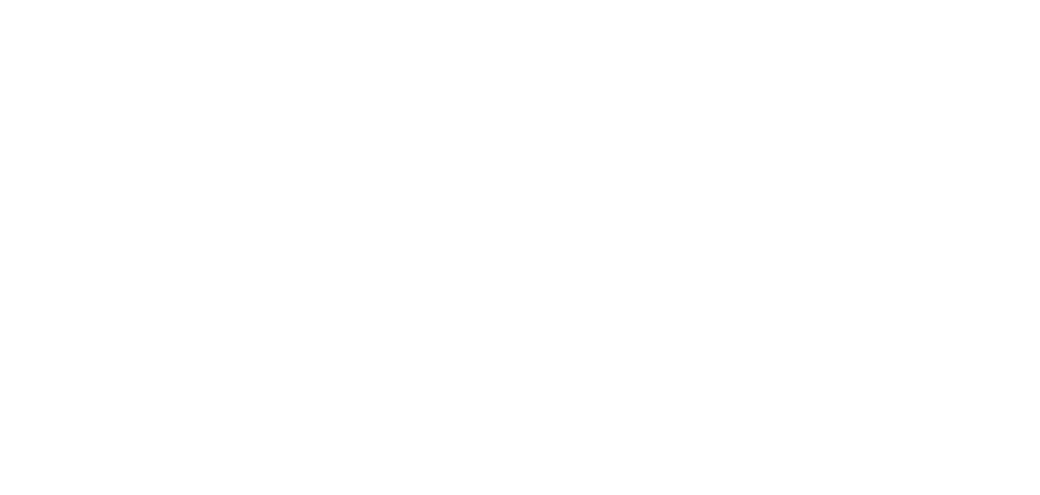 Art.25